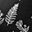 Black Green