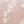 Cameo Pink