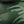 Forest Green Camo