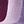 Rose Red Purple