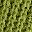 Fruit Green