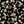 Black Floral Print