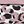 Black Pink Leopard