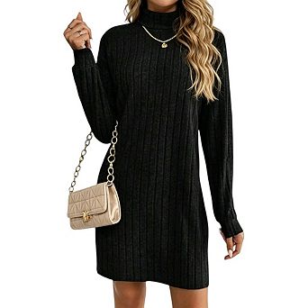 Women's Turtleneck Sweater Long Sleeve Knit Casual Knit Mini Dress