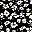Black Flower