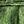 Metallic Green