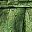 Metallic Green
