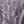 Grayish Purple