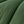 Bronze Green