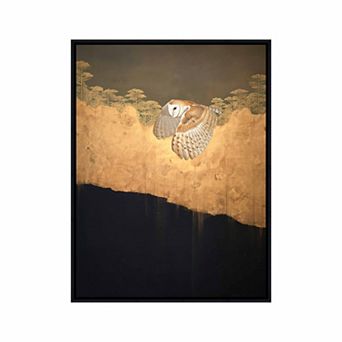 Martha Stewart Perry St. Barn Owl in Flight Framed Canvas Wall Art