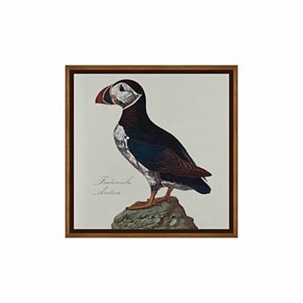 Martha Stewart Lily Pond Natural History Atlantic Puffin Framed Canvas Wall Art