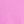 Aster Pink