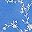 Blue Floral Vine
