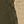 Navy Olive Timber