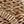 Beige Brown