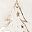 Whitetree