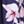 Navy Floral Star