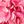 Bright Pink