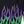 Black Grave Digger