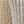 Beige Brown