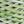 Green White