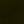 Black Olive