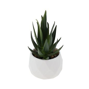 Fake Succulent Plant for Room Bathroom Kitchen Decor 1 pc 5.12" Green
