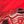 Thunderroarus Red