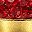 Gold Red
