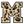 Leopard Letter M