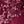 Rich Burgundy