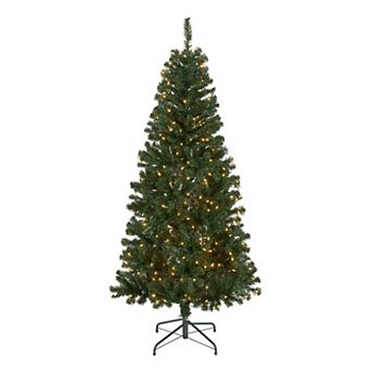National Tree Company 6' Acacia Hinged Tree with 300 Clear Lights-UL, 599 Tips