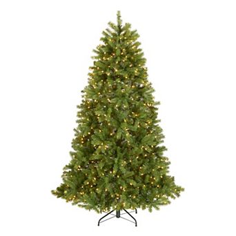 6.5ft. Downswept Douglas®Fir Tree with Clear Lights