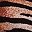 Tiger Print