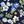 Deep Sea Navy Floral