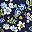 Deep Sea Navy Floral