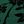 Darkgreen