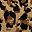 Leopard Brown