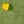 Green Yellow