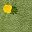 Green Yellow