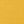Canvas Sunflower