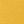 Canvas Sunflower