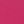 Canvas Hot Pink
