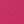Canvas Hot Pink