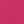 Canvas Hot Pink