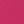 Canvas Hot Pink