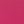 Canvas Hot Pink