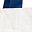 White Navy