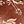 Coffee Color