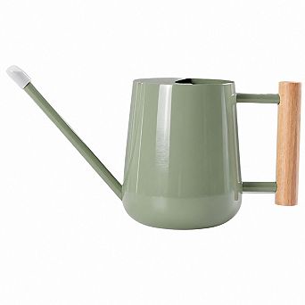 30 oz Stainless Steel Indoor Watering Can with Wood Handle Long Spout for House Plants 1 pc